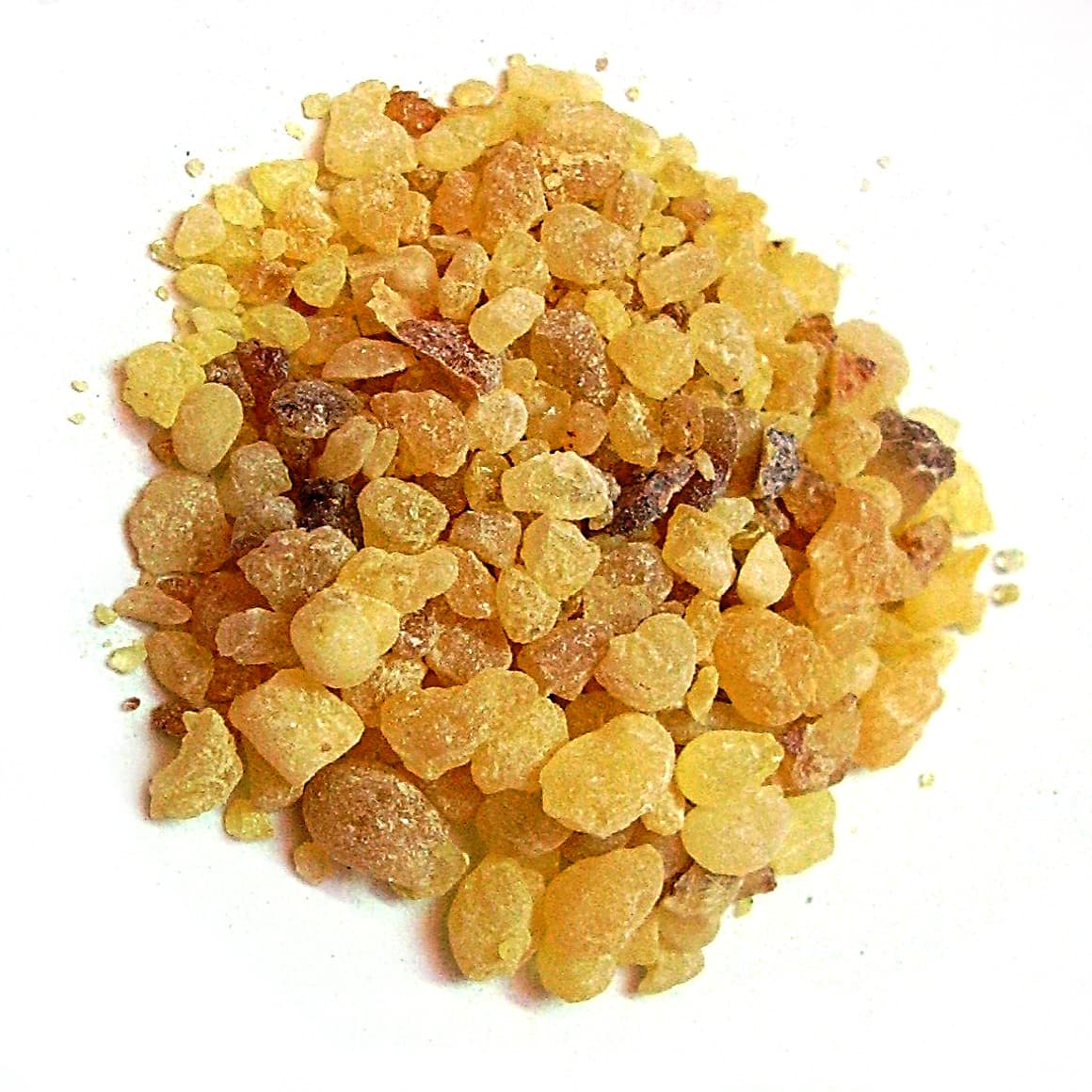 Boswellia Carterii vs. Frereana: What's the Difference?