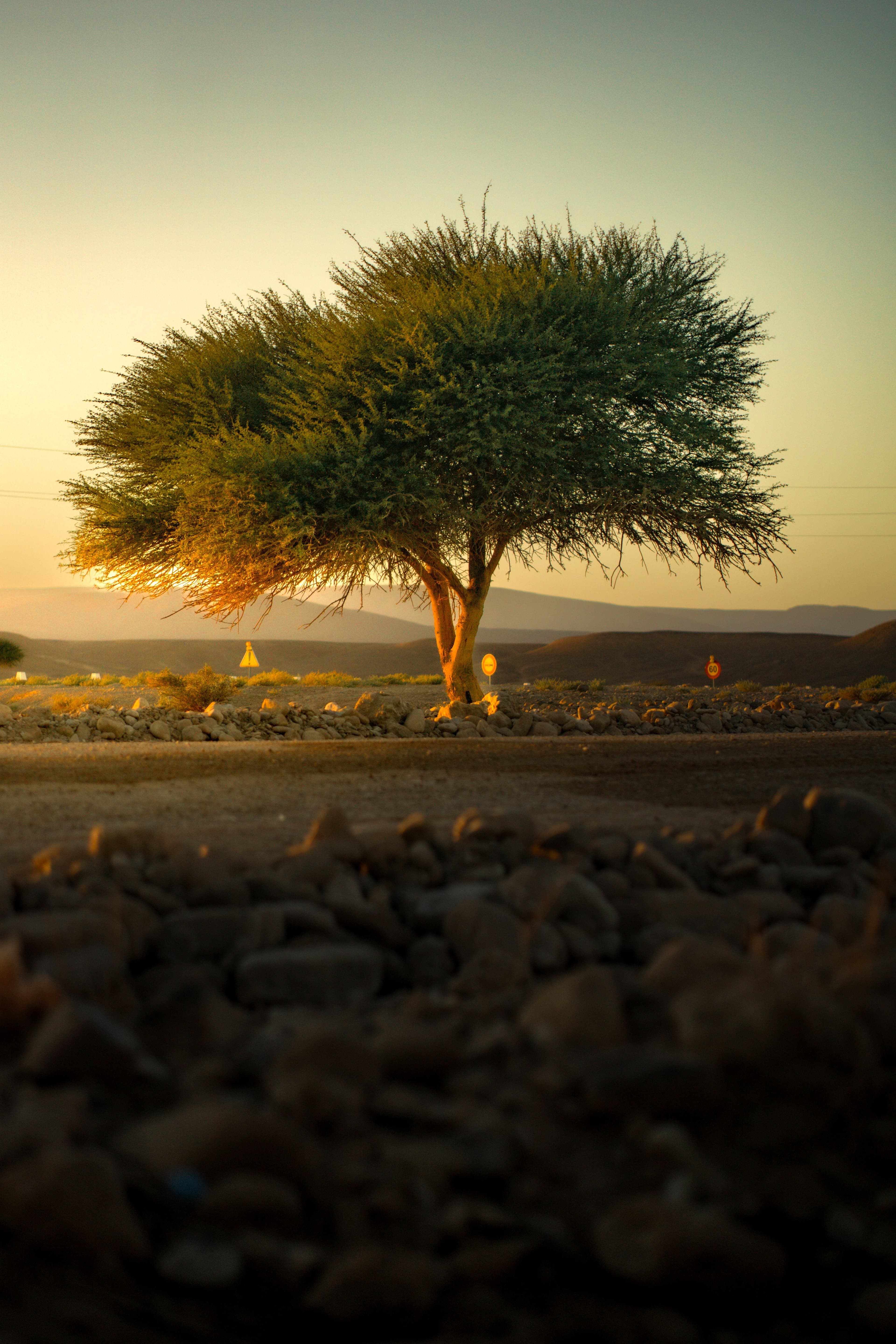 A rocky highland landscape at sunrise, representative of the terrain across Puntland.